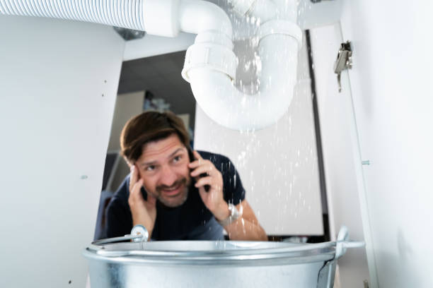 Best Local Plumber Services  in Maysville, NC